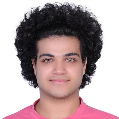 Hossein Firoozabadibaharloo